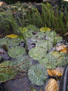 Teichnetz über Teich