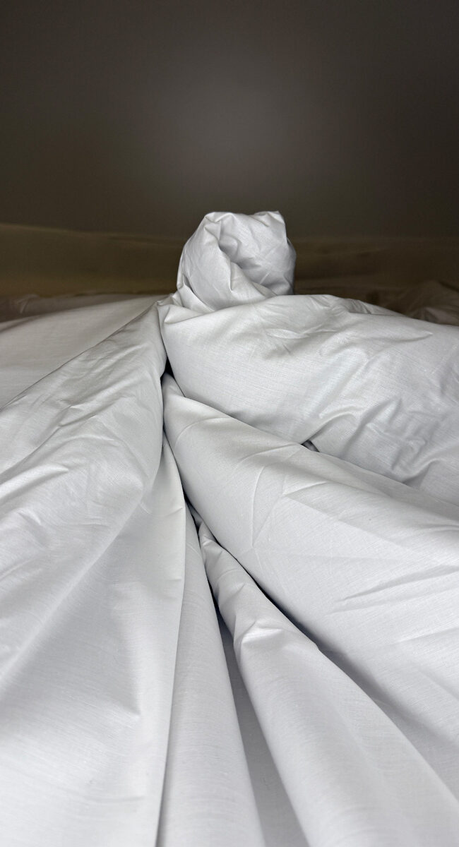 Kamelhaardecke von BEFA zusammengezwirbelt.